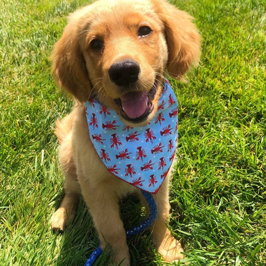 Pet Dog Bandana Outdoor Beach Triangular Scarf Cute Puppy Kerchief Summer Holiday Pet Accessories For Small Medium Large Dogs